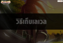 วิธีเก็บเลเวล