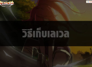 วิธีเก็บเลเวล