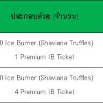 Premium_IceBurner02
